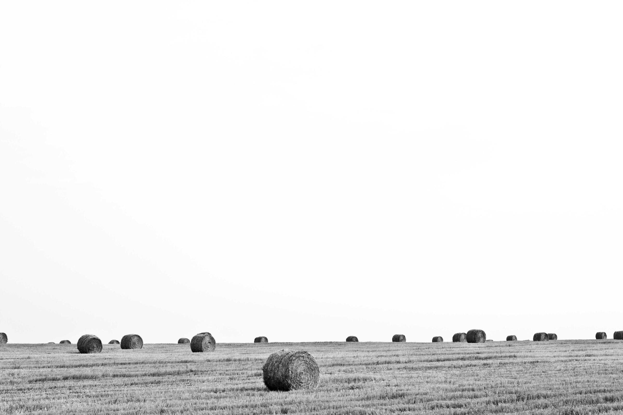 Hay bales scattered across a pale, empty field