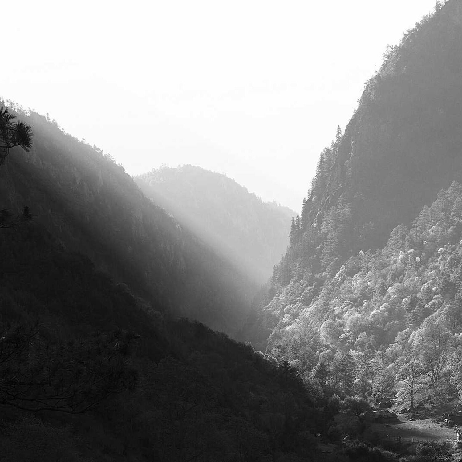 Black and white mountain valley in mist